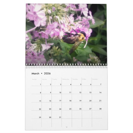 Geschöpfe Kalender (Mär 2026)