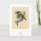 Geschöpfert (gefickt) Titmouse Audubon Birds of Am Karte (Rückseite)