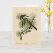 Geschöpfert (gefickt) Titmouse Audubon Birds of Am Karte (Gelbe Blume)