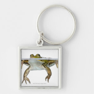 Geschossen von einem essbaren Frosch, der vor a Schlüsselanhänger