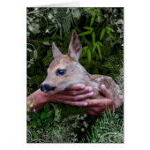 ‚Geschützt‘ (Vorne)