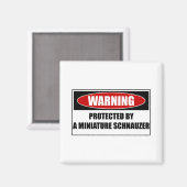 Geschützt durch einen Miniaturschnauzer Magnet (Vorderseite/Rückseite)