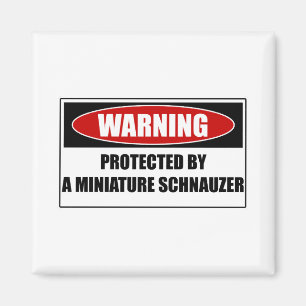 Geschützt durch einen Zwergschnauzer Magnet