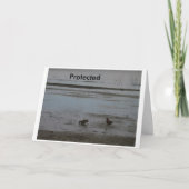 Geschützt Karte (Vorderseite)