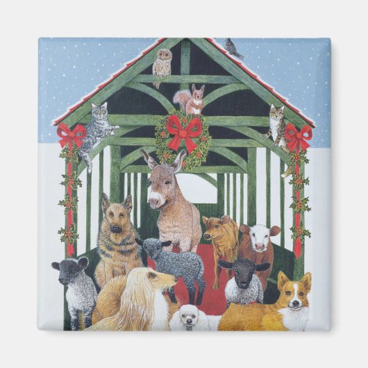 Geschützt Magnet (Vorne)