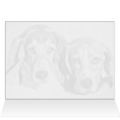 Geschützt von Hunden (Innenansicht Horizontal (Oben))