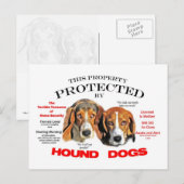 Geschützt von Hunden Postkarte (Vorne/Hinten)