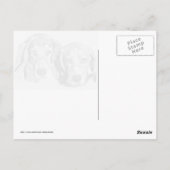 Geschützt von Hunden Postkarte (Rückseite)