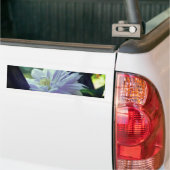 Geschützte Clematis-Blüte  Autoaufkleber (Auf Lkw)
