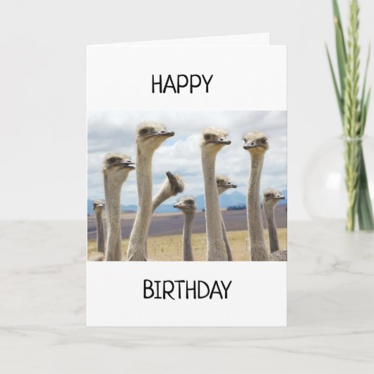 GESCHÜTZTE KÜCHE SAGEN GLÜCKLICH BIRTHDAKARTE KARTE (Vorderseite)