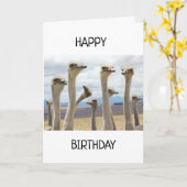 GESCHÜTZTE KÜCHE SAGEN GLÜCKLICH BIRTHDAKARTE KARTE (Gelbe Blume)