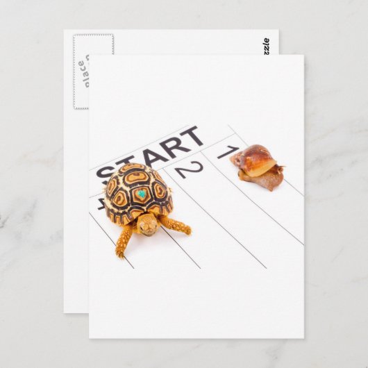 Geschwindigkeit Postkarte (Vorne/Hinten)