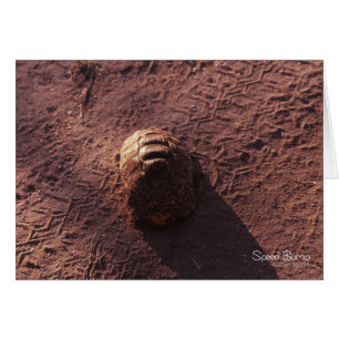 Geschwindigkeitssprung