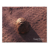 Geschwindigkeitssprung Fotodruck (Vorne)