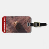 Geschwindigkeitssprung Gepäckanhänger (Vorderseite horizontal)