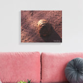 Geschwindigkeitssprung Leinwanddruck (Insitu (Wohnzimmer))