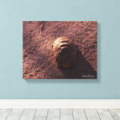 Geschwindigkeitssprung Leinwanddruck (Insitu (Holzboden))