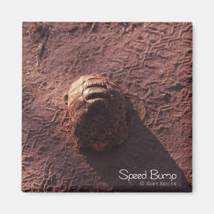 Geschwindigkeitssprung Magnet