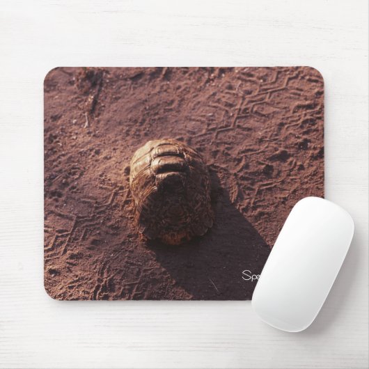 Geschwindigkeitssprung Mousepad (Mit Mouse)