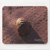 Geschwindigkeitssprung Mousepad (Vorne)