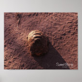 Geschwindigkeitssprung Poster (Vorne)