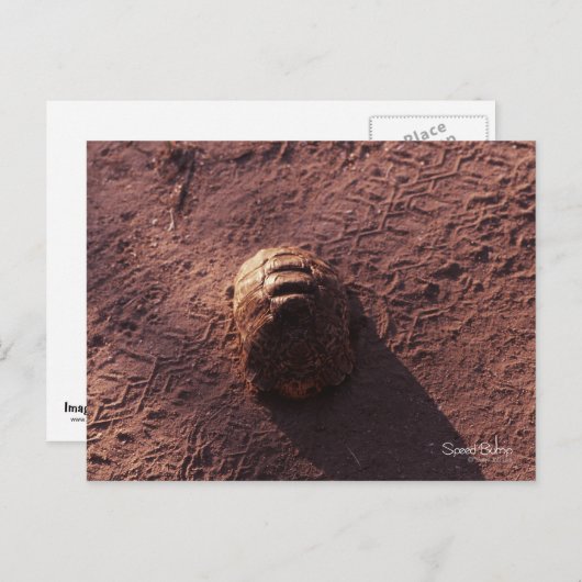 Geschwindigkeitssprung Postkarte (Vorne/Hinten)