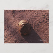 Geschwindigkeitssprung Postkarte (Vorderseite)