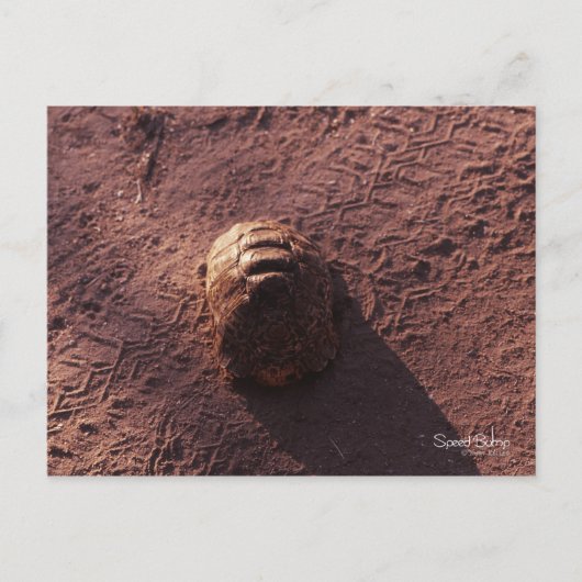 Geschwindigkeitssprung Postkarte (Vorderseite)