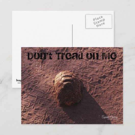 Geschwindigkeitssprung Postkarte (Vorne/Hinten)