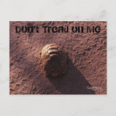 Geschwindigkeitssprung Postkarte (Vorderseite)