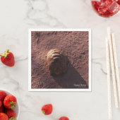 Geschwindigkeitssprung Serviette (Beispiel)