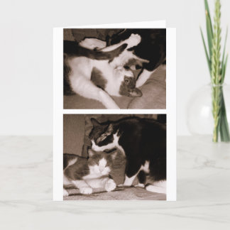 Geschwister - Brüder u. Schwestern Karte