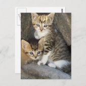 Geschwister Postkarte (Vorne/Hinten)