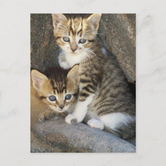 Geschwister Postkarte