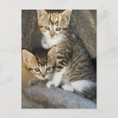 Geschwister Postkarte (Vorderseite)