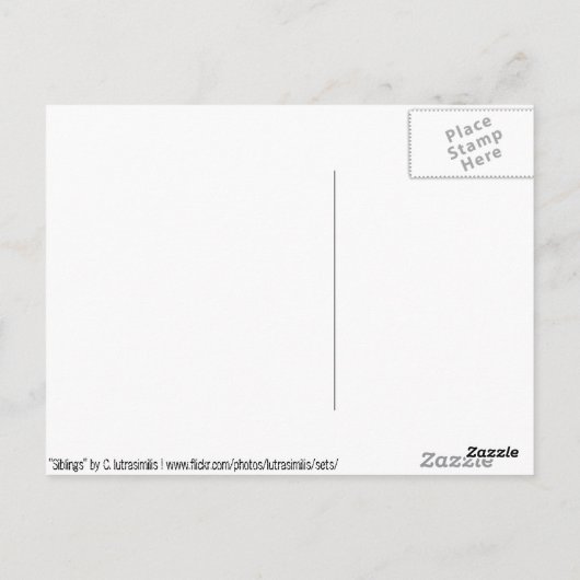 Geschwister Postkarte (Rückseite)