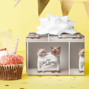 Geschwisterkatzen, die sich tragen, kommen am Shir Geschenkpapier