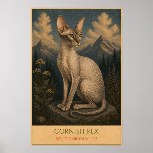 Geschwungene Eleganz: Cornish Rex Poster (Vorne)