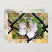 Gesegnet ist er, der auf den LORD vertraut Postkarte (Vorne/Hinten)