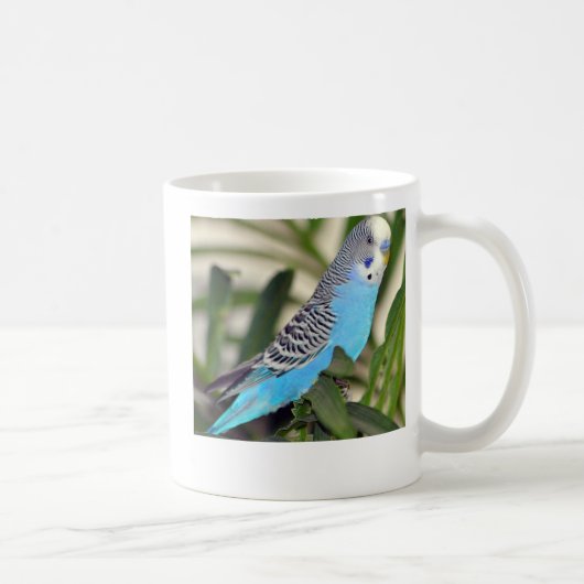 gesegnet kaffeetasse (Rechts)