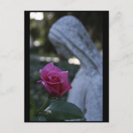Gesegnete Jungfrau Mary und Rose Postkarte