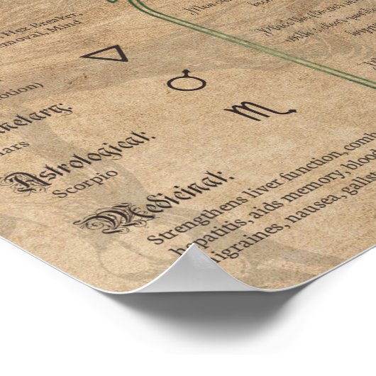 Gesegnetes Thistle Kräuterbuch Schatten Pagan Wicc Poster (Ecke)