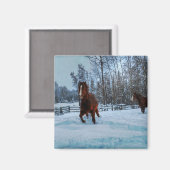 Geselliges Sorrel Pferd im Schnee für Pferdefreund Magnet (Vorderseite/Rückseite)