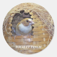 GESELLSCHAFT FINCH STICKER