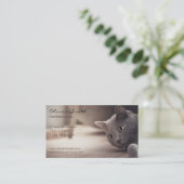 Gesellschaftstier, schöne Katze Visitenkarte (Stehend Vorderseite)