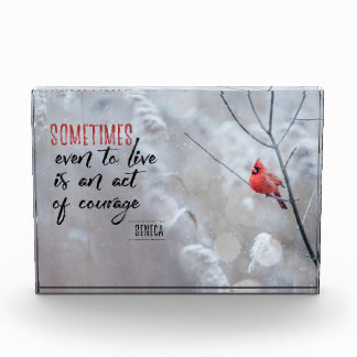 Gesetz des Mutes Fotoblock