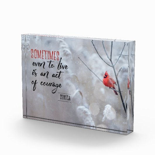 Gesetz des Mutes Fotoblock (Rechts)