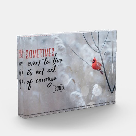 Gesetz des Mutes Fotoblock (Links)