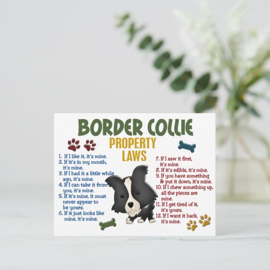 Gesetz über die Border Collie Property 4 Postkarte (Stehend Vorderseite)