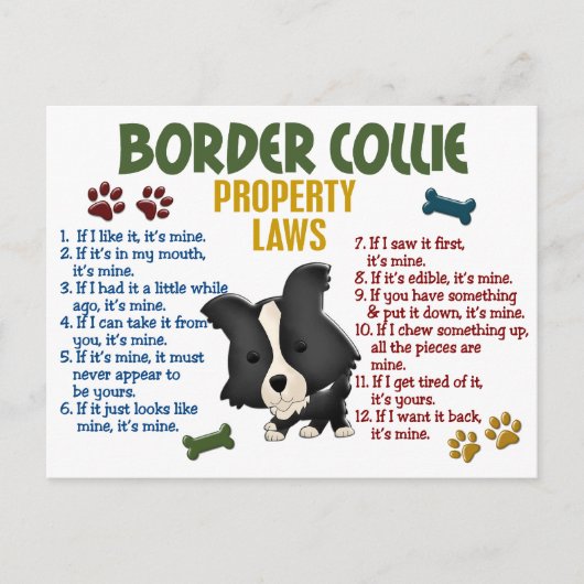 Gesetz über die Border Collie Property 4 Postkarte (Vorderseite)